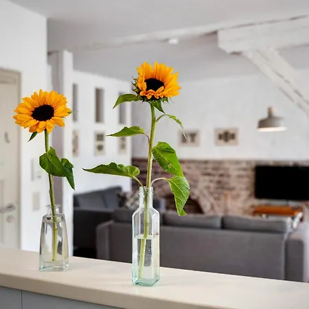 Апартаменты Alte Seifensiederei 3 Штральзунд